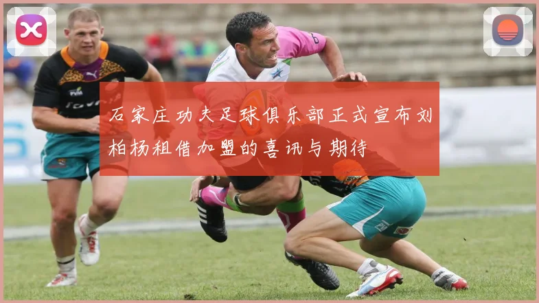 石家庄功夫足球俱乐部正式宣布刘柏杨租借加盟的喜讯与期待