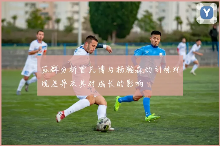 苏群分析曾凡博与杨瀚森的训练环境差异及其对成长的影响