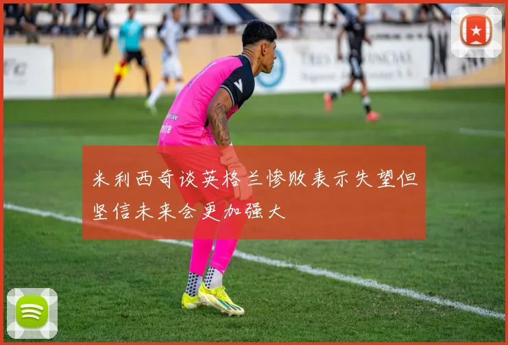 米利西奇谈英格兰惨败表示失望但坚信未来会更加强大