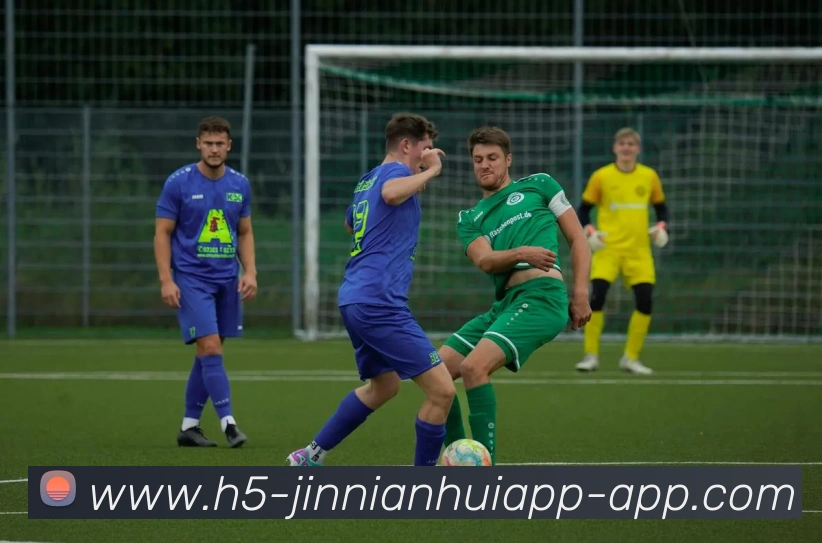 今年会官网发展历程